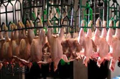 Technical, Financial Feasibility study of Poultry slaughterhouse Unit